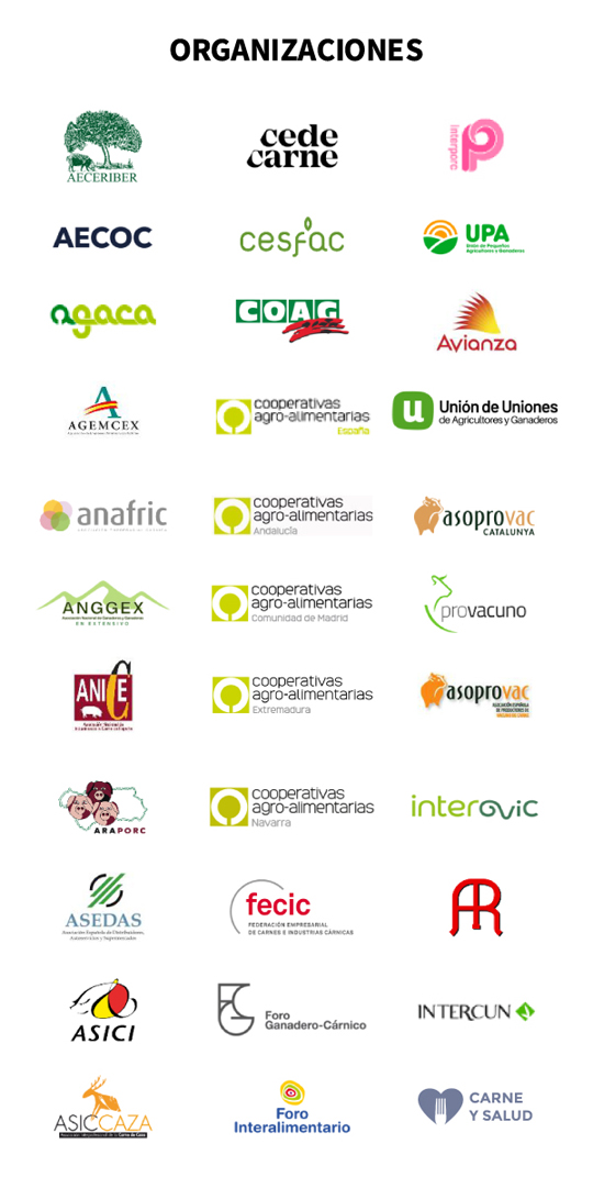 participantes-m4